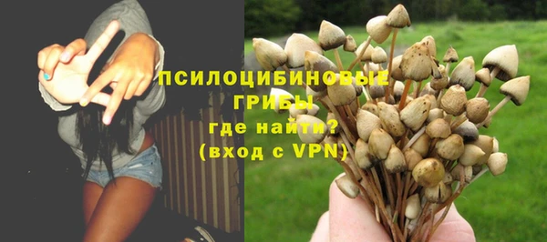 молекула духа Балахна