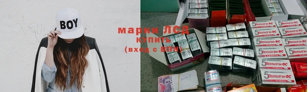 дмт Аркадак